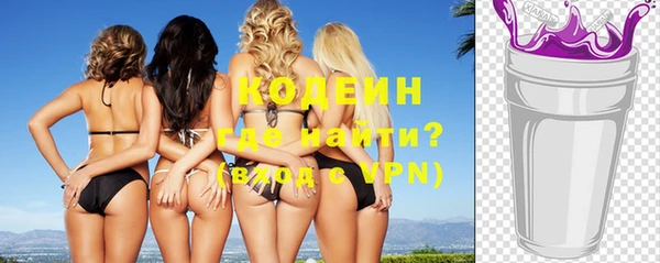 стаф Козловка